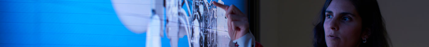 Bild zu Software Asset Manager